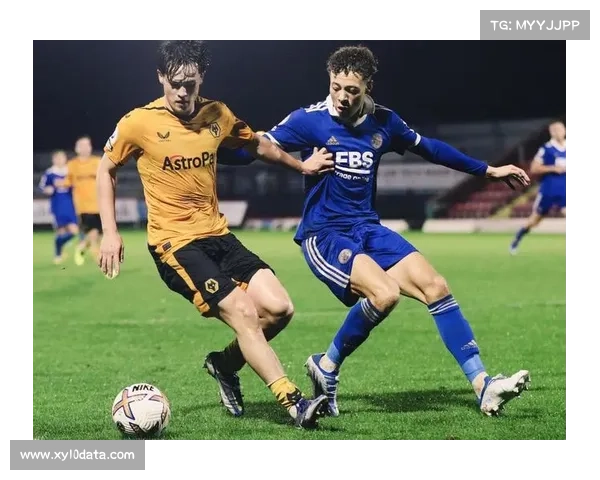 默森看好维拉3-0狼队:狼队输给所有三支升班马