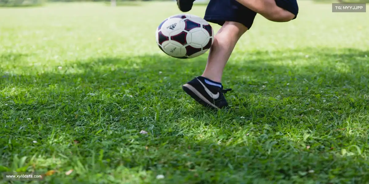 澳洲幸运10官网——🤼♀️🌟 十字固降服,银河锁喉!